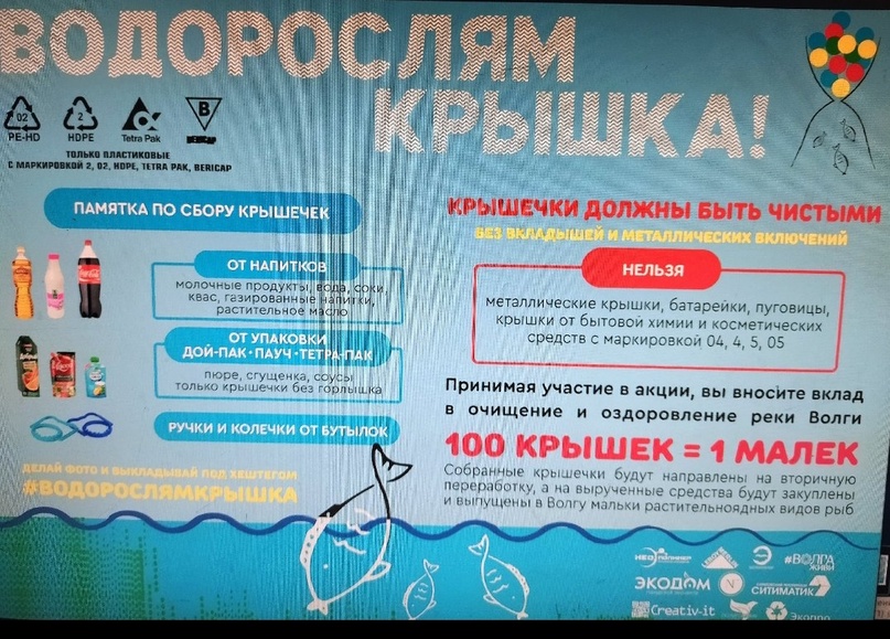 &amp;quot;Водорослям крышка&amp;quot;.